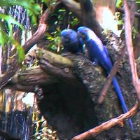 01-00083_12160907556_o