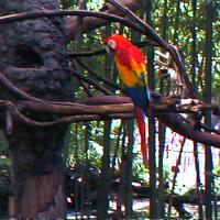 01-00086_12160907326_o