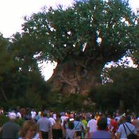 01-00087_12160653204_o