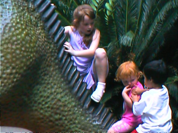 01-00100_12160483113_o