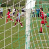 picture-138_jpg_13039705915_o