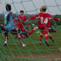 picture-184_jpg_13041087313_o