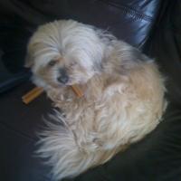 img_0056_12240273763_o