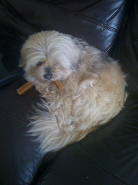 img_0056_12240273763_o