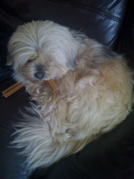 img_0065_12240655706_o