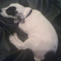 img_0125_12239499043_o