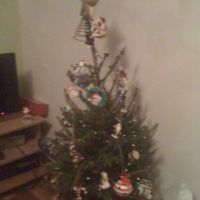 img_0153_12239723954_o