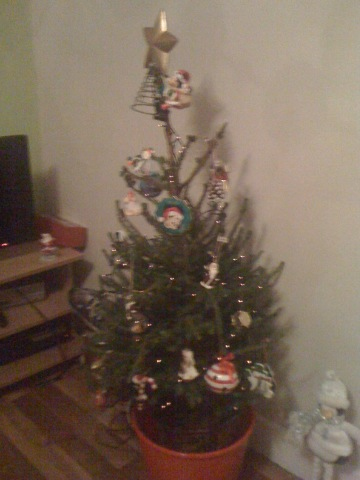 img_0153_12239723954_o