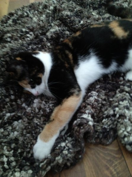 img_0188_12240602396_o