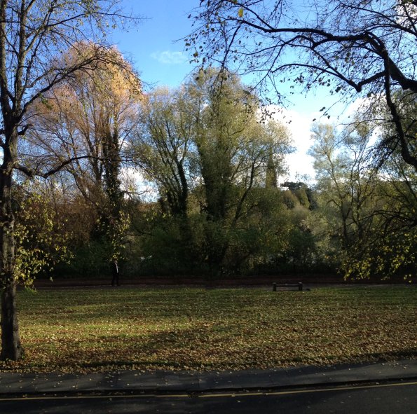 img_0488_12241162223_o