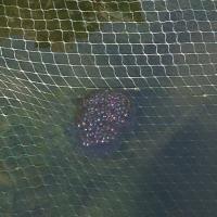 img_0682_12241399336_o