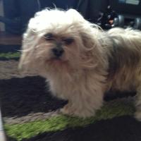 img_0871_12241209966_o