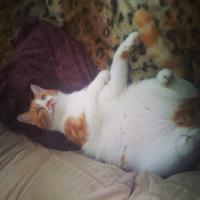 img_0913_12240628755_o