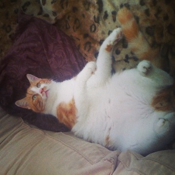 img_0913_12240628755_o