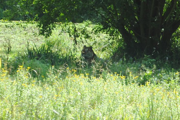 csc_0940_12138513215_o