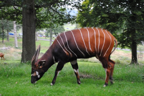 dsc_0880_12138916404_o