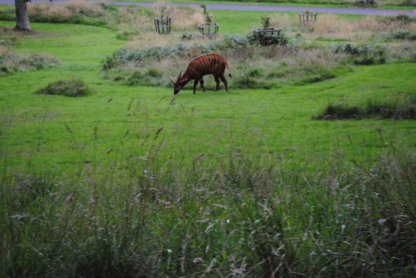 dsc_0882_12138509445_o