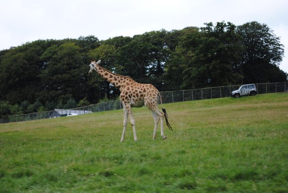 dsc_0897_12138905074_o