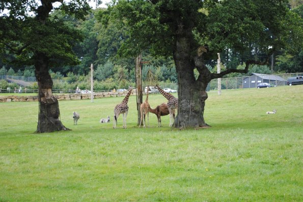 dsc_0898_12139155926_o