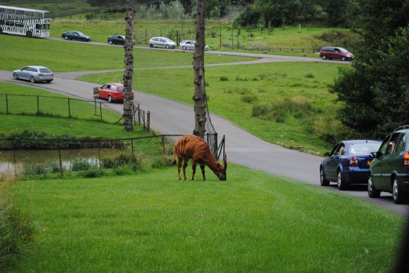 dsc_0901_12139153906_o