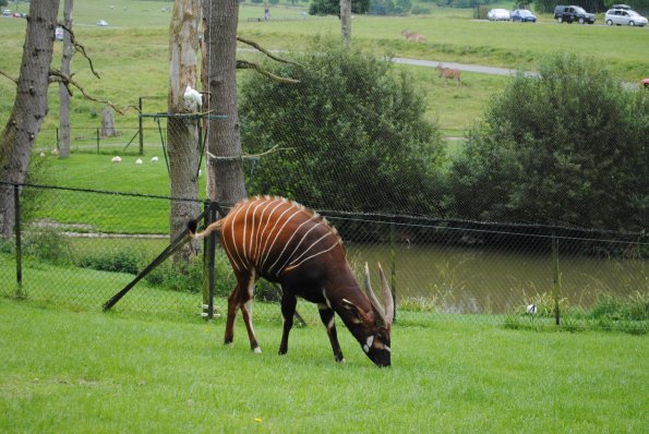 dsc_0906_12138493235_o