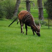 dsc_0907_12138758533_o