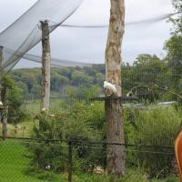 dsc_0908_12138898314_o