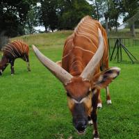 dsc_0909_12138898034_o