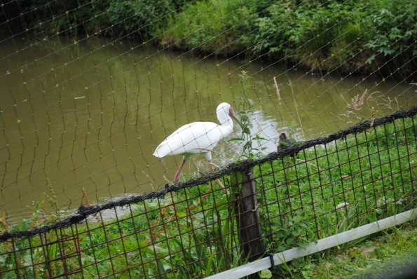 dsc_0911_12139147916_o