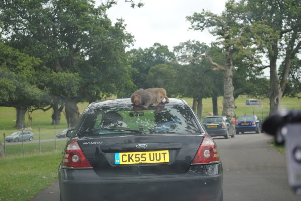 dsc_0922_12138889664_o