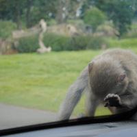 dsc_0924_12138482505_o