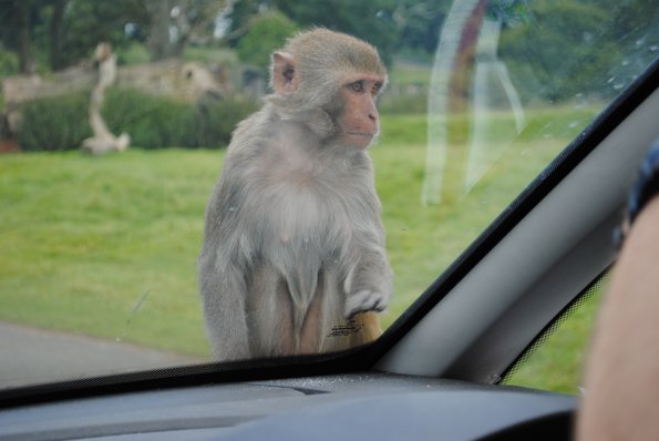 dsc_0925_12138888394_o