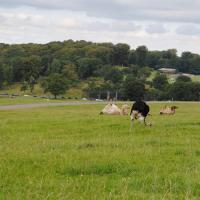 dsc_0929_12138885224_o