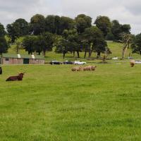 dsc_0930_12138887144_o