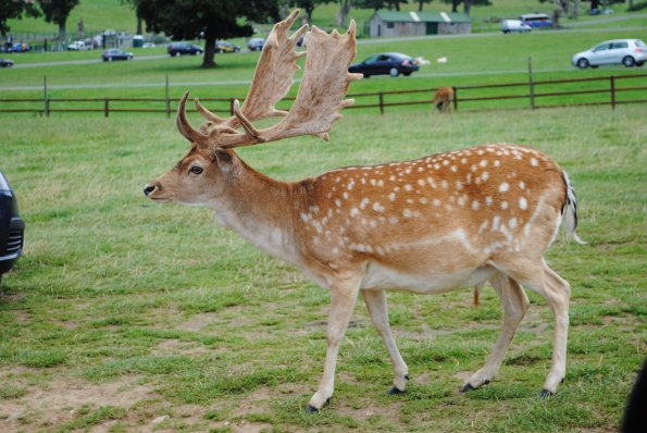 dsc_0934_12138476505_o