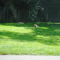 dsc_0942_12138473905_o