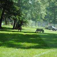 dsc_0944_12138876514_o