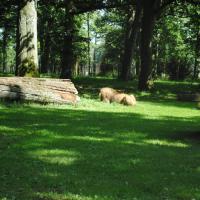 dsc_0945_12138875634_o