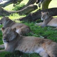 dsc_0953_12138464895_o