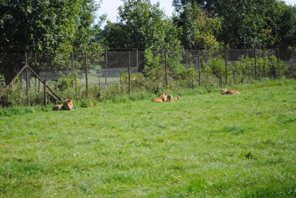 dsc_0957_12138867804_o