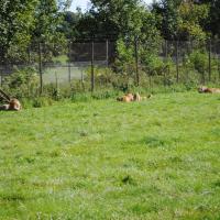 dsc_0958_12138726203_o