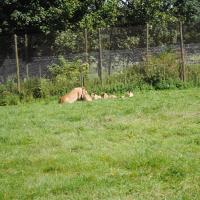 dsc_0963_12139116486_o