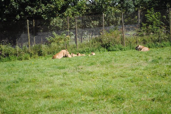 dsc_0963_12139116486_o