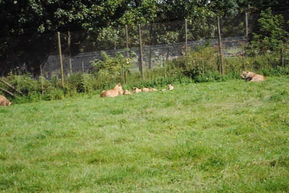 dsc_0967_12138861664_o
