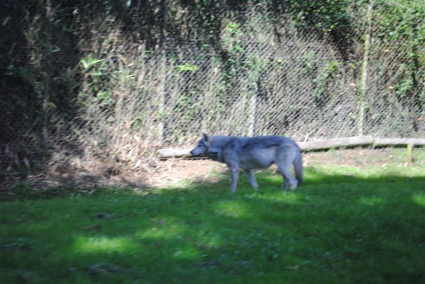 dsc_0968_12138860064_o