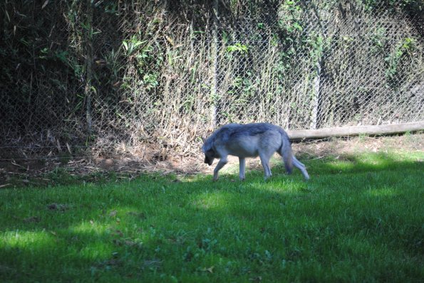 dsc_0969_12138454145_o