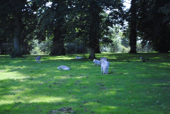 dsc_0970_12138859044_o