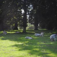 dsc_0971_12138717573_o