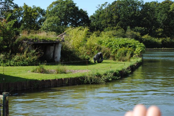 dsc_0975_12138451065_o