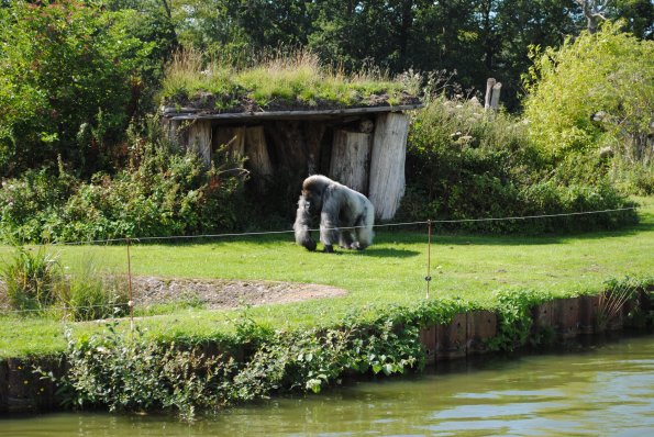 dsc_0976_12138856684_o